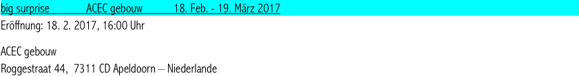 big surprise             ACEC gebouw           18. Feb. - 19. März 2017 
Eröffnung: 18. 2. 2017, 16:00 Uhr

ACEC gebouw Roggestraat 44,  7311 CD Apeldoorn – Niederlande